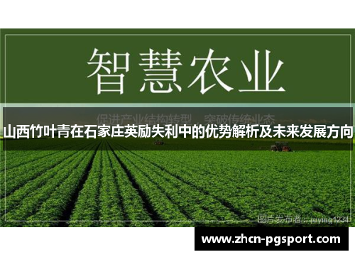山西竹叶青在石家庄英励失利中的优势解析及未来发展方向