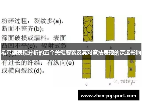 希尔德表现分析的五个关键要素及其对竞技表现的深远影响
