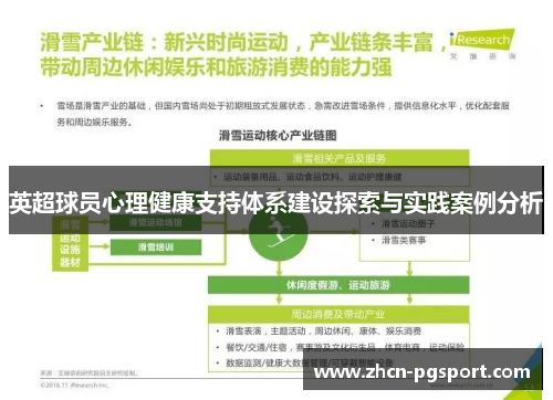 英超球员心理健康支持体系建设探索与实践案例分析