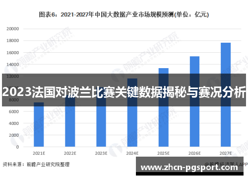 2023法国对波兰比赛关键数据揭秘与赛况分析
