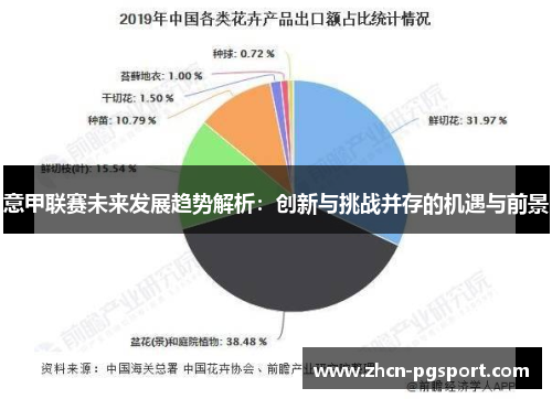 意甲联赛未来发展趋势解析：创新与挑战并存的机遇与前景